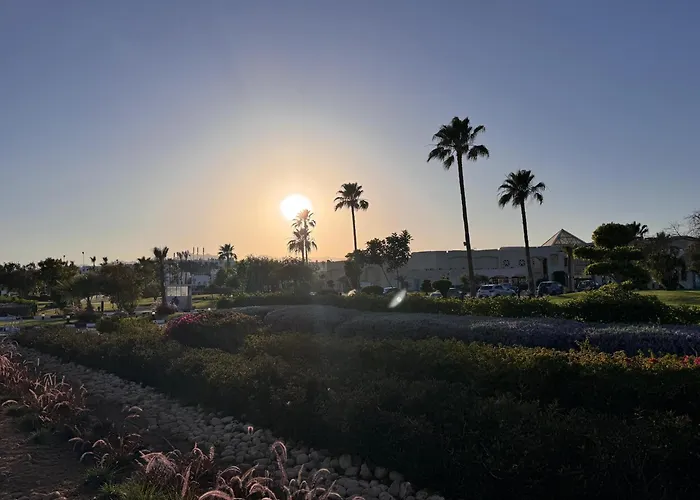 Criss Naama Bay