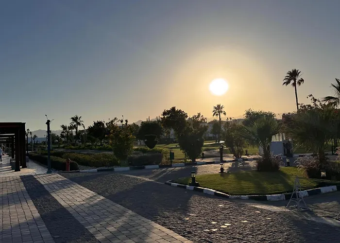 Daire Criss Naama Bay